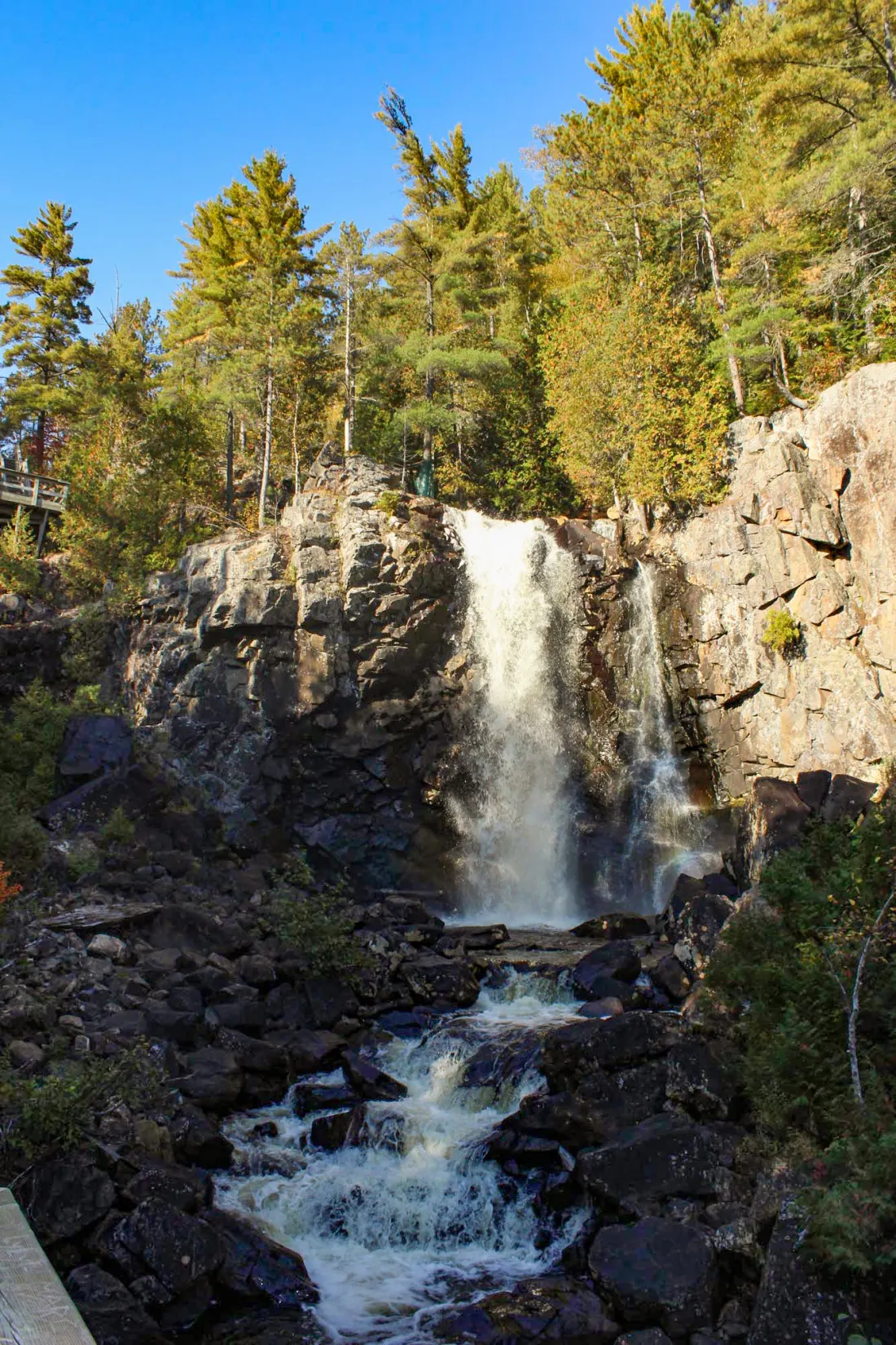 Chute d'eau au cœur de la forêt